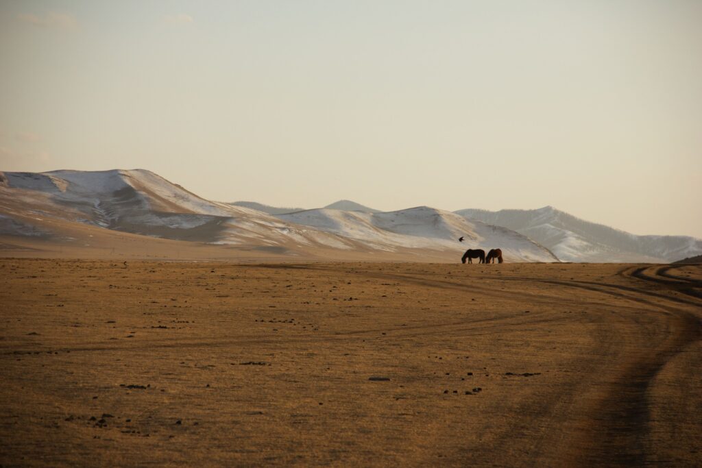 Voyage hivernal en Mongolie