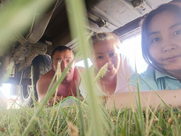 Selfie dans l’herbe entre collègues