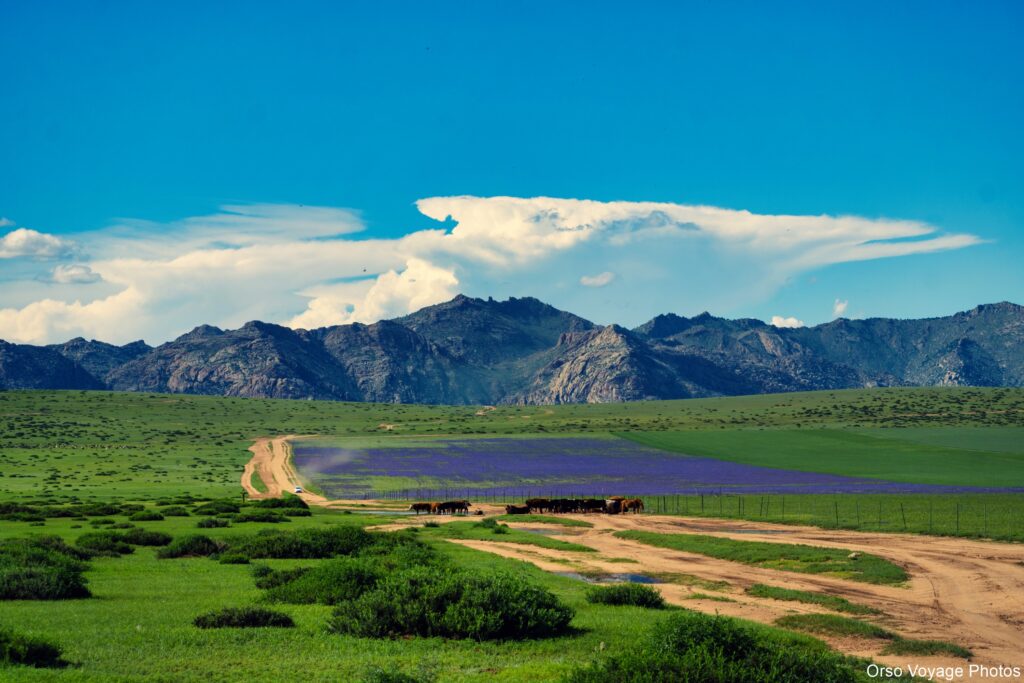 Khugnu khan